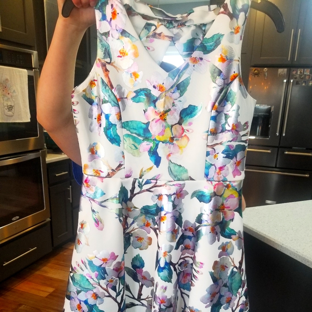 Girls Holiday Dress Size 12